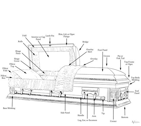 casket dimensions drawings.